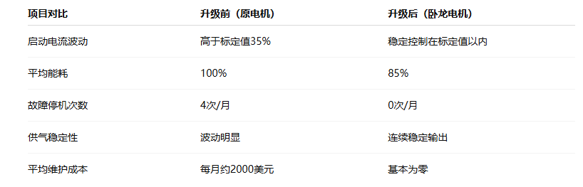 印度空壓機工廠升級臥龍電機后能耗降低15% 運行更加穩定